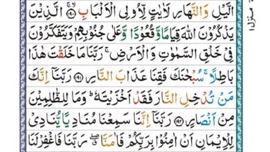 Last 10 Ayat of Surah Al Imran